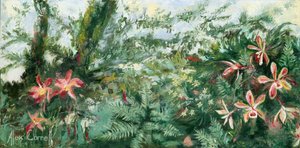 Färgsprakande tropiska orkidéer av Alex Cornell