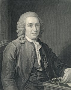 Porträtt av Carolus Linnaeus av Alexander (after) Roslin