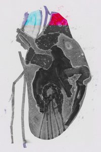 Genomsnitt av Alexander Adiels