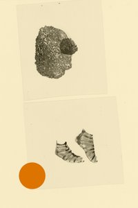 Huvudfoting av Alexander Adiels