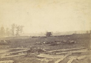 Utsikt över slagfältet i Antietam, september 1862, 1862. av Alexander Gardner