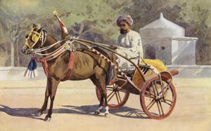 En Benares Ekka av Alexander Henry Hallam Murray