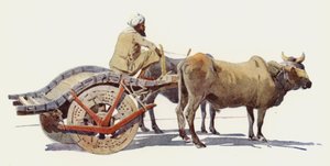 En tjurvagn, Jodhpur