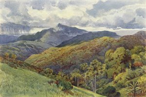 Bergen från Pallekelly av Alexander Henry Hallam Murray