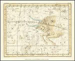 1822 - Alexander Jamieson - Oxen
