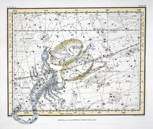 The Constellations (Plate XIX) Libra and Scorpio, från "A Celestial Atlas" av Alexander Jamieson, pub. London 1822 (handfärgad gravyr)