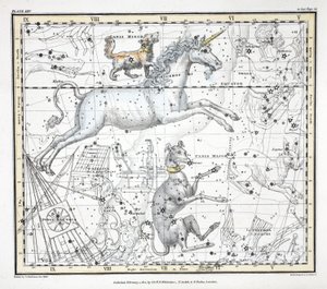 Konstellationerna (platta XXV) Canis Major, Canis Minor, Monoceros, Argo Ship, l