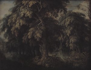 Skogbevuxen landskap