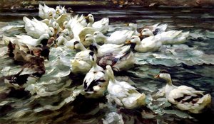 Ducks Gathering (olja på duk)