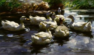 A.Koester, ankor i dammen