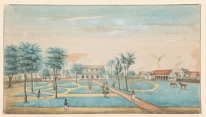 Utsikt över sockerplantagen Catharina Sophia av Alexander Ludwich Brockmann