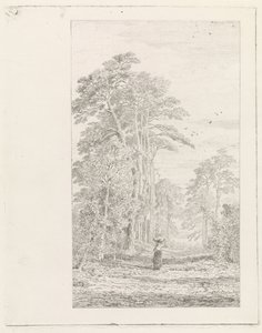 tall allé av Alexander Mollinger