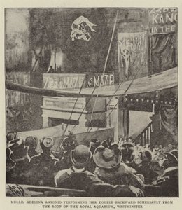 Mademoiselle Adelina Antonio utför sin dubbelbakåt kullerbytta från taket på Royal Aquarium, Westminster av Alexander Stuart Boyd