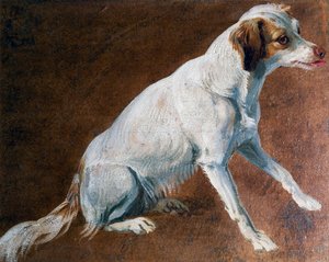 Fransk spaniels förfader, av Alexandre-Francois Desportes (1661-1743), Frankrike av Alexandre Francois Desportes