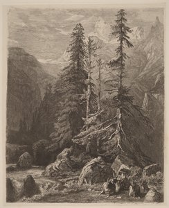 Etsningsförsök av Alexandre Calame, I, pl. 21