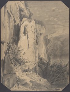 Skogar och berg av Alexandre Calame