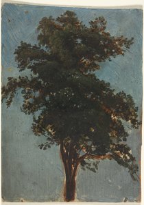 Trädstudie av Alexandre Calame