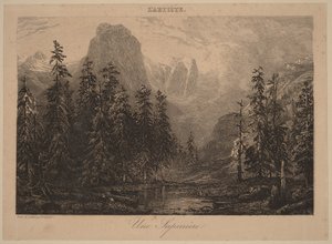 En granskog av Alexandre Calame