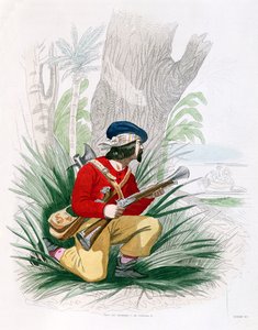 The Buccaneer, från 