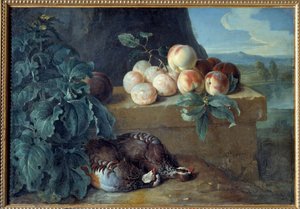Persikor och rapphöns. Målning av Francois Desportes (1661-1743) av Alexandre Francois Desportes