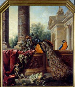 Stilleben med påfågel En papegoja, en apa och druvklasar. Målning av Francois Desportes (1661-1743) 1700-talets sön. 2,05x1,8 m Lyon, Musee des Beaux Arts av Alexandre Francois Desportes