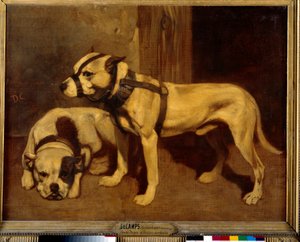 Scottish Bulldog och Terrier Bad Dog med nosparti. Målning av Alexandre Gabriel Decamps
