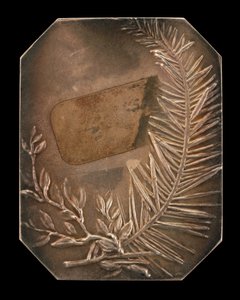 Sammanflätade grenar av Laurel och Evergreen [omvänd], 1897.