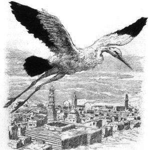 En stork som flyger över en nordafrikansk by