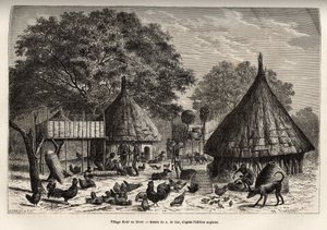 Village Diour på vintern (Sudan) och invånarnas dagliga aktiviteter mitt bland djur som fötts upp av samhället, gravering efter teckningen av A. de Bar, som illustrerar resan till hjärtat av Afrika 1868-1871, av Dr. Georges Schweinfurt