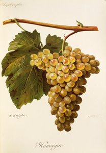 swedish av Alexis Kreyder