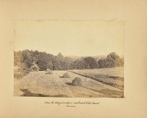Från stugans fönster - Österut till Öresund - Sommar av Alfred Booth