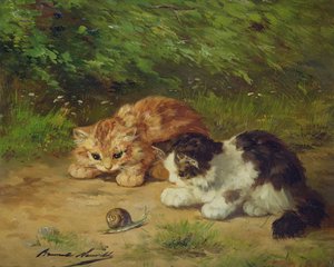Kattungar och snigel