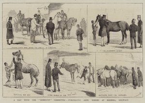En dag med Remount Committee, inköp av Army Horses i Redhill, Edgware av Alfred Chantrey Corbould