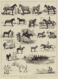 Horse Show i Manchester av Alfred Chantrey Corbould