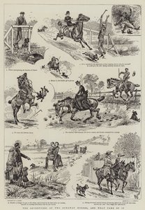 The Adventures of Two Runaway Horses, och vad som kom av det
