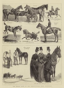 The Horse Show på Agricultural Hall, Islington