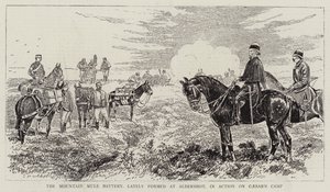 The Mountain Mule Battery, nyligen bildad vid Aldershot, i aktion på Caesar