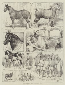 Cart-Horse Show på Lantbrukshallen