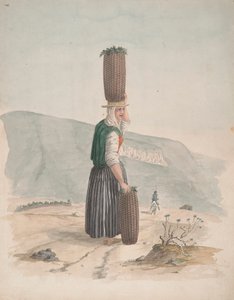 Träkolsförsäljare, Teneriffa