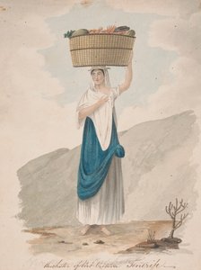 Huckster från Port Orotava, Teneriffa av Alfred Diston