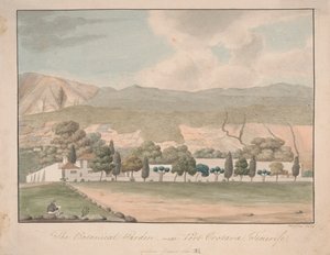 Botaniska trädgården nära Port Orotava, Teneriffa av Alfred Diston