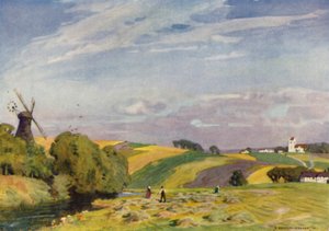 Danmark: Ett typiskt danskt landskap, Sydjylland (färg litho)