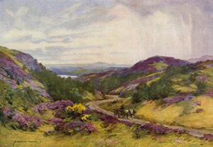 Danmark: Raebild Hills, nära Aalborg (färg litho) av Alfred Heaton Cooper