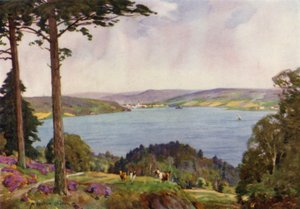 Danmark: Vejle Fjord, Sydjylland (färg litho) av Alfred Heaton Cooper
