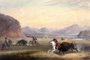 Bisonjakt nära Independence Rock av Alfred Jacob Miller