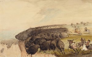 Driving Herds of Buffalo over a Precipice, ca 1837 (penna, penna och bläck och akvarell på papper) av Alfred Jacob Miller