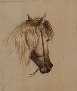 Hästhuvud av Alfred Jacob Miller