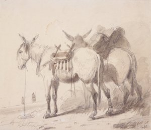 Mule Equipment, c.1837 (penna och tvätt på papper) av Alfred Jacob Miller