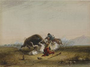 Pierre och buffeln av Alfred Jacob Miller