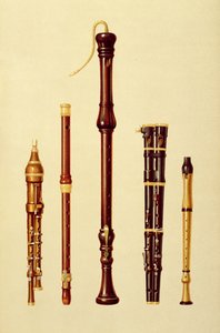 En dubbel flageolet, en tysk flöjt, en basblockflöjt, en dubbel flageolet och en blockflöjt, från "Musical Instruments" (färgad litografi).